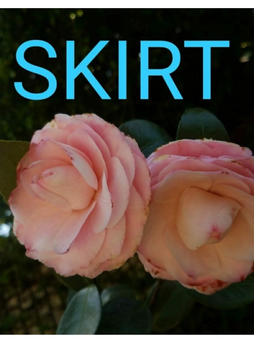 45% off Day to Night Fashion Skirts!